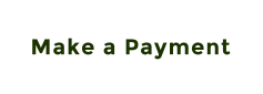 Make a Payment